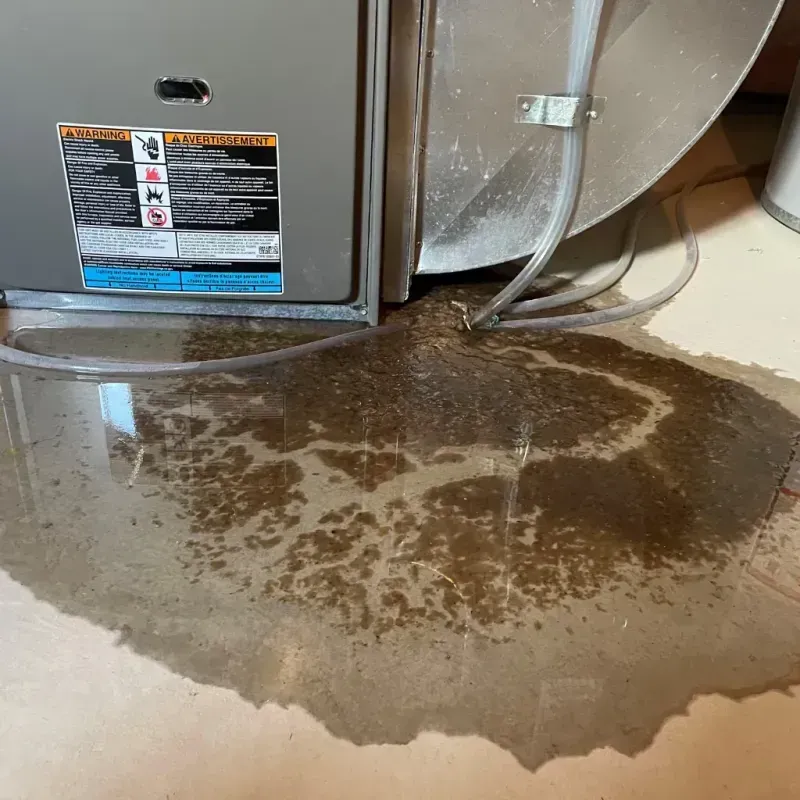 Appliance Leak Cleanup in Surprise, AZ